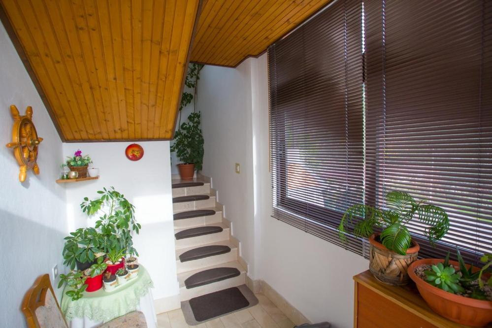 Apartments Tanja Подгора Екстер'єр фото
