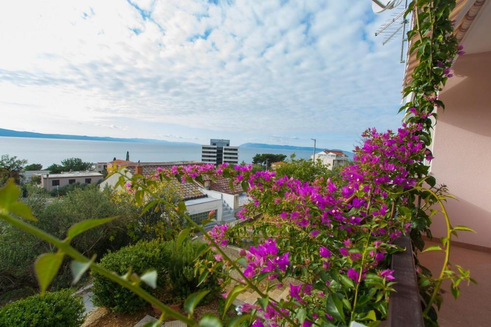 Apartments Tanja Подгора Екстер'єр фото